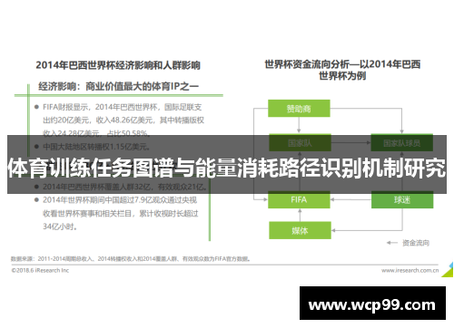 体育训练任务图谱与能量消耗路径识别机制研究